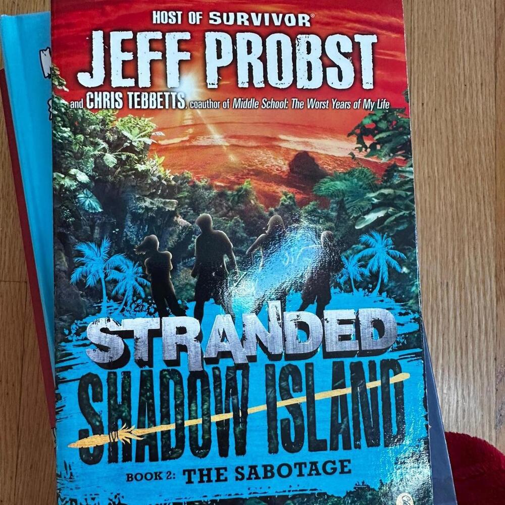 & Other Stories  Multi and Blue Book